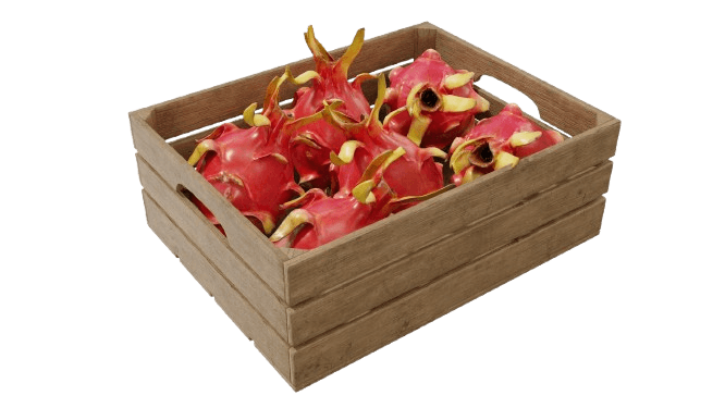 Dragon Fruit Logistics Box
